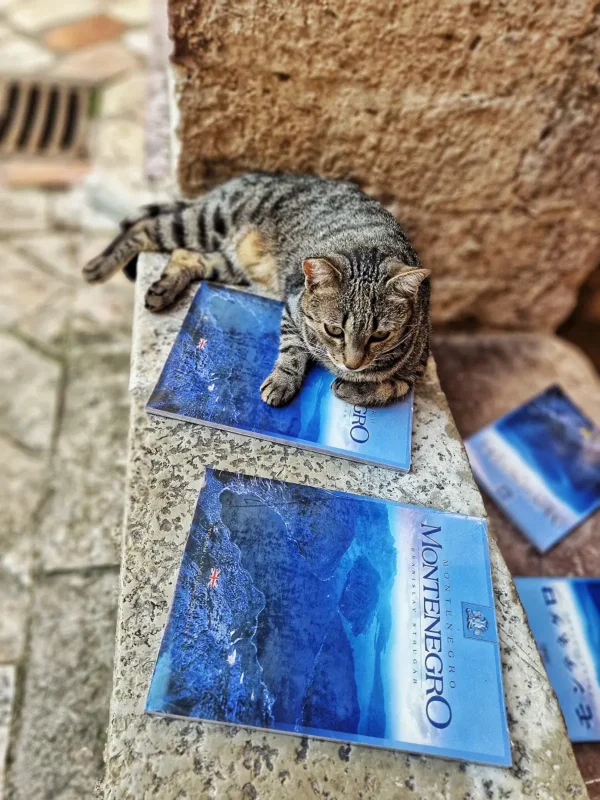 Things to Do in Montenegro