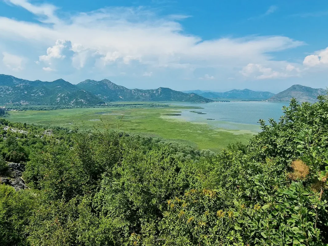 Things to Do in Montenegro: Visit Skadar Lake