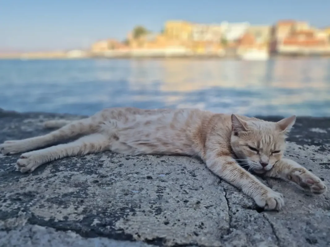 Things To Do In Chania